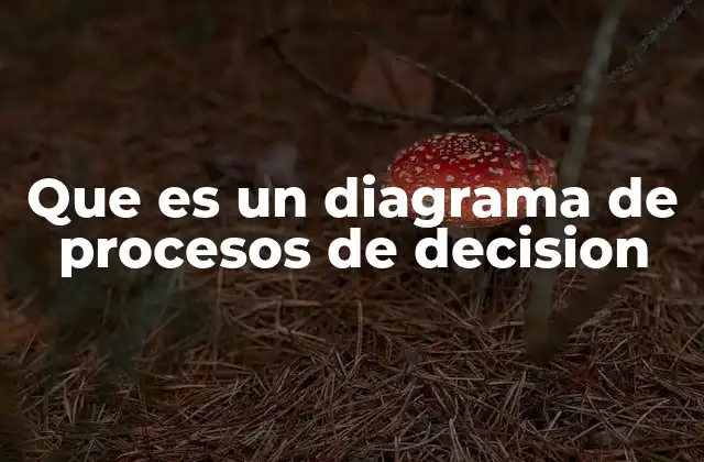 Aplicaciones prácticas del diagrama de procesos de decisión