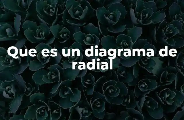 Que es un Diagrama de Radial