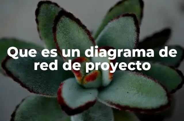 Visualizando la estructura de un proyecto