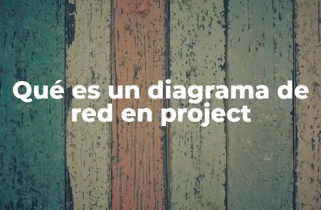 Qué es un Diagrama de Red en Project