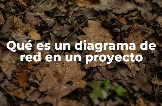 Qué es un Diagrama de Red en un Proyecto
