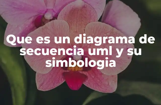Que es un Diagrama de Secuencia Uml y Su Simbologia
