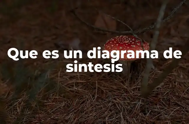 La representación visual como herramienta de integración conceptual