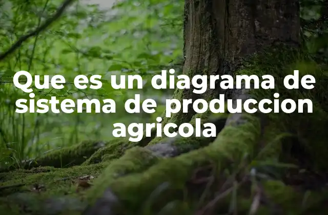 Que es un Diagrama de Sistema de Produccion Agricola