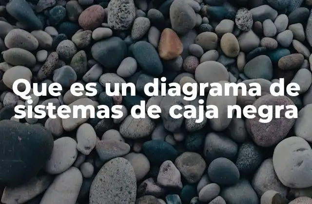 Que es un Diagrama de Sistemas de Caja Negra 2 Visualizando sistemas complejos sin perder el enfoque
