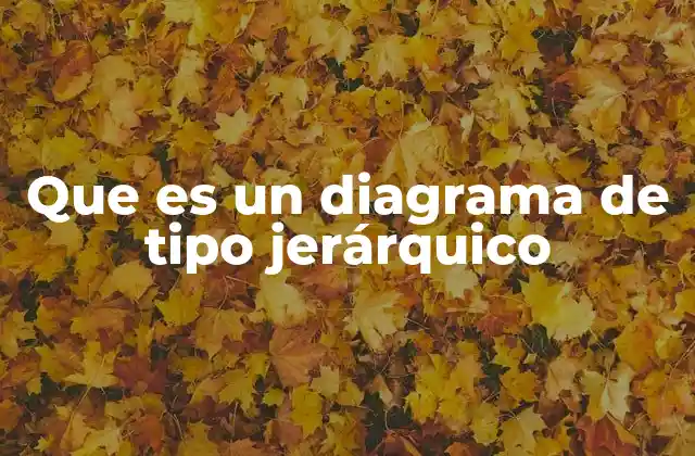 Que es un Diagrama de Tipo Jerárquico