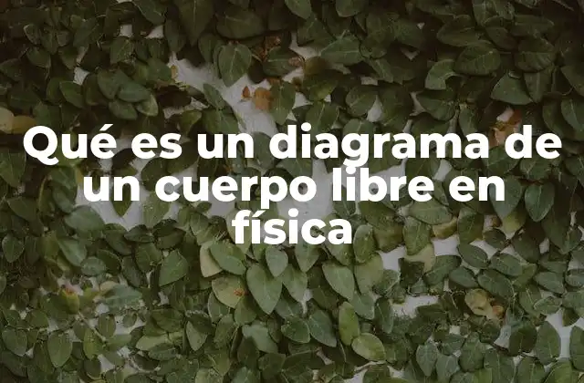 Qué es un Diagrama de un Cuerpo Libre en Física