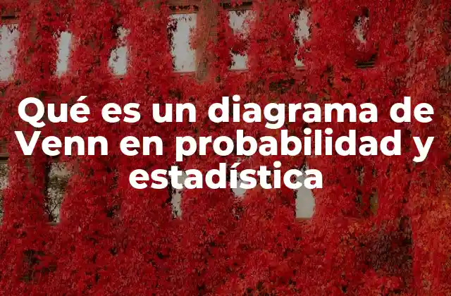 La importancia de la visualización en la teoría de conjuntos