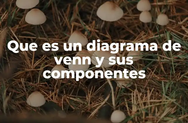 Que es un Diagrama de Venn y Sus Componentes 2 Cómo se representan las relaciones entre conjuntos