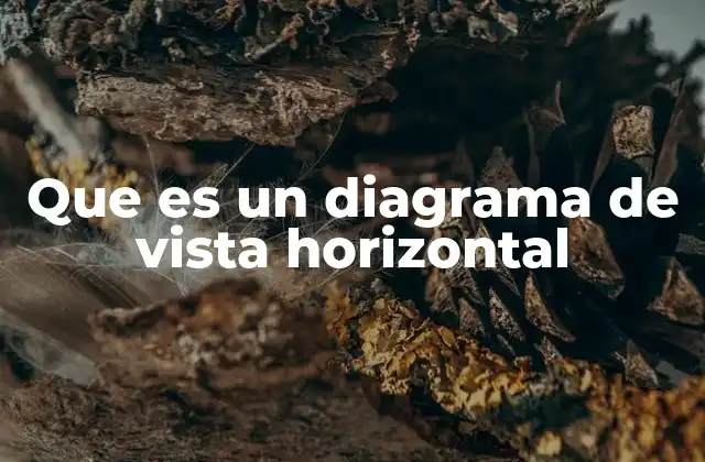 La importancia de las vistas horizontales en el diseño técnico