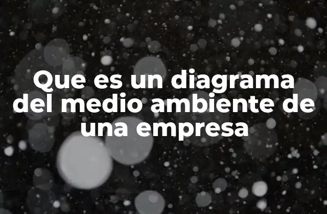 Que es un Diagrama Del Medio Ambiente de una Empresa