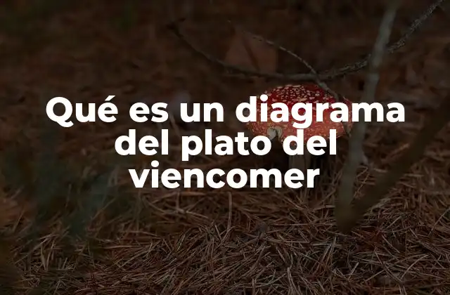 Qué es un Diagrama Del Plato Del Viencomer