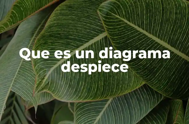 Que es un Diagrama Despiece