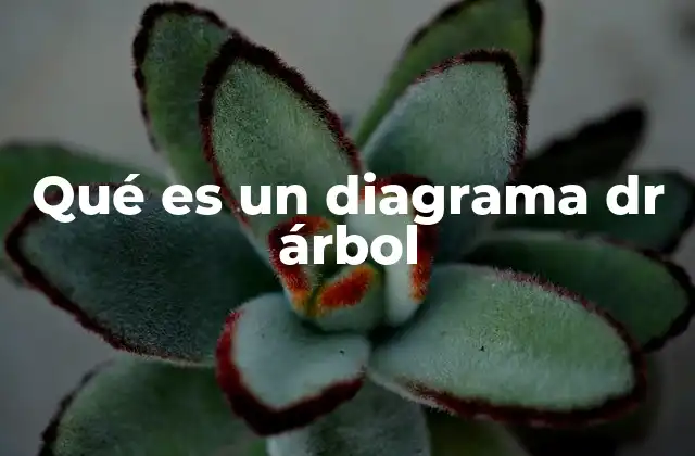 Qué es un Diagrama Dr Árbol 2 Cómo se representa gráficamente un diagrama DR árbol