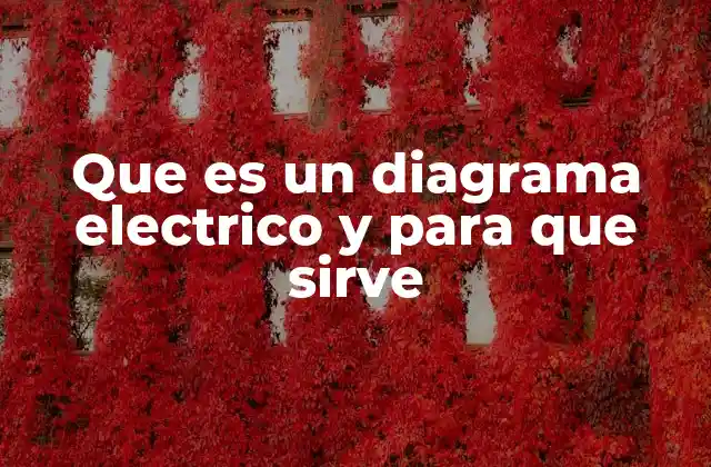 Que es un Diagrama Electrico y para que Sirve