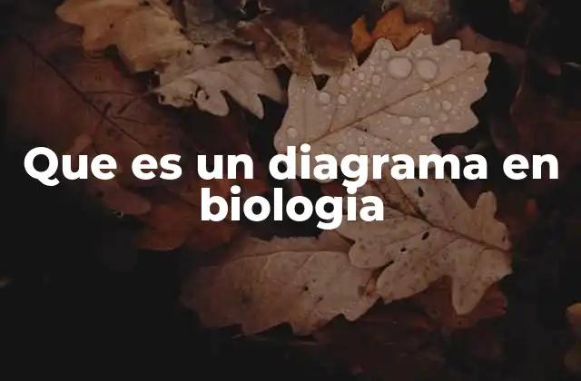 Que es un Diagrama en Biologia