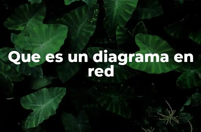Que es un Diagrama en Red