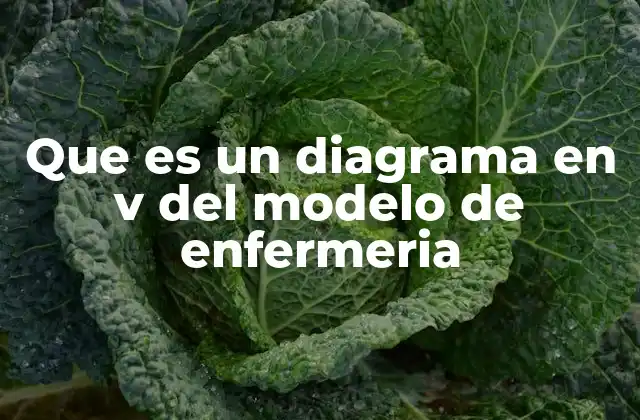 Que es un Diagrama en V Del Modelo de Enfermeria