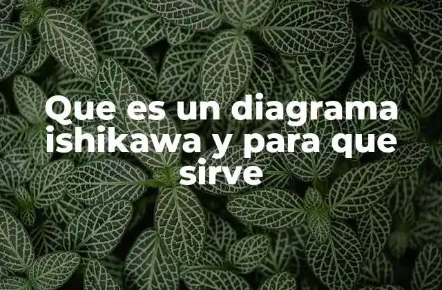 Que es un Diagrama Ishikawa y para que Sirve 2 Uso del diagrama de Ishikawa en la mejora de procesos industriales