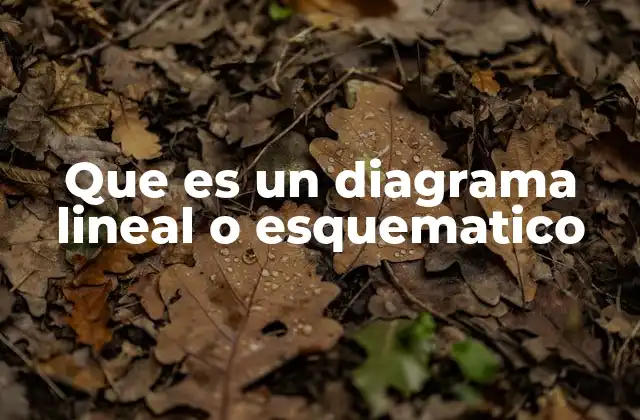 Que es un Diagrama Lineal o Esquematico