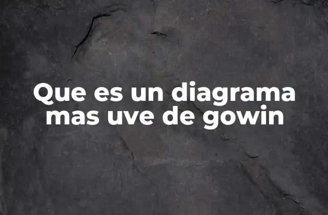 Que es un Diagrama mas Uve de Gowin