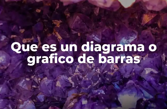 Que es un Diagrama o Grafico de Barras