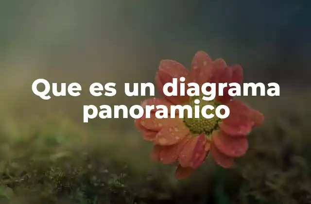 Que es un Diagrama Panoramico