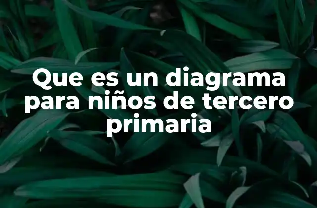 Que es un Diagrama para Niños de Tercero Primaria