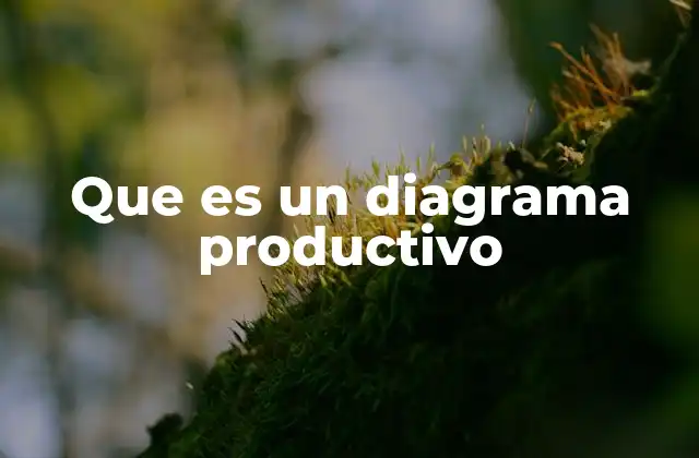 Que es un Diagrama Productivo