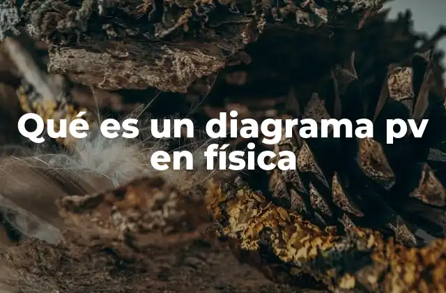 Qué es un Diagrama Pv en Física