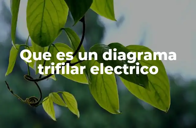 Que es un Diagrama Trifilar Electrico