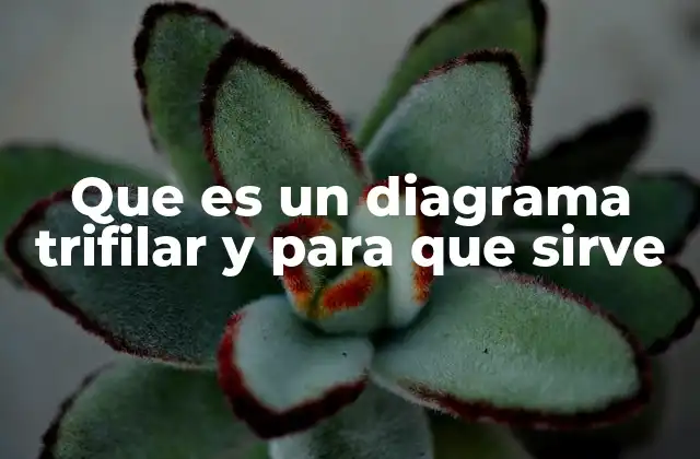 Que es un Diagrama Trifilar y para que Sirve