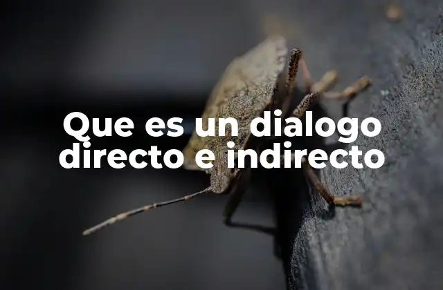 Que es un Dialogo Directo e Indirecto