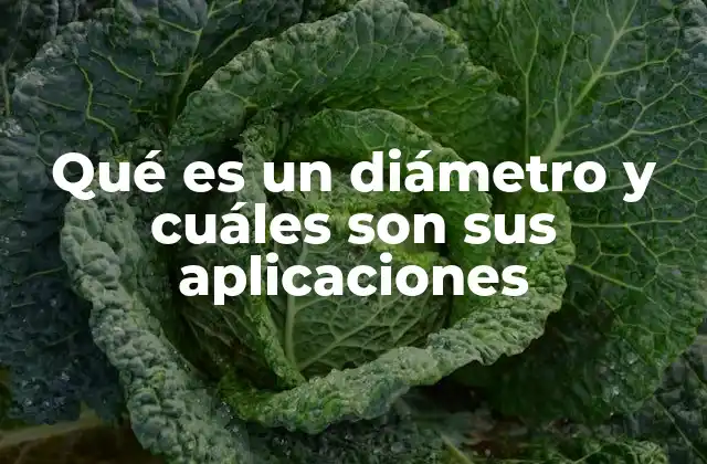 Qué es un Diámetro y Cuáles Son Sus Aplicaciones