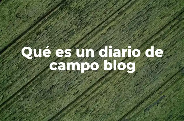 Qué es un Diario de Campo Blog