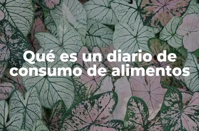 Qué es un Diario de Consumo de Alimentos