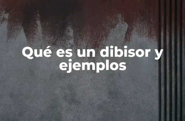 Qué es un Dibisor y Ejemplos