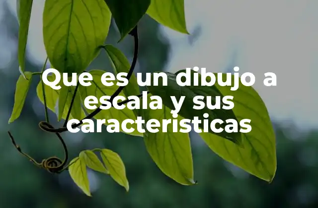 La importancia del dibujo técnico en la representación a escala