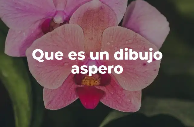 Que es un Dibujo Aspero 2 Características de los dibujos asperos