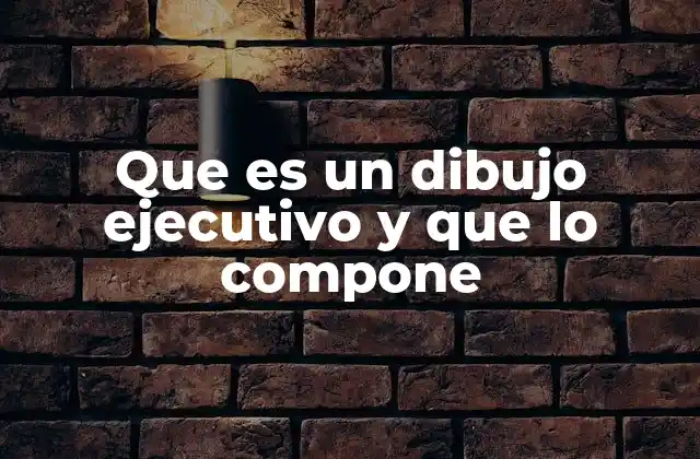 Que es un Dibujo Ejecutivo y que Lo Compone