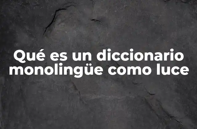 Qué es un Diccionario Monolingüe como Luce