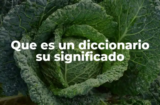 Que es un Diccionario Su Significado