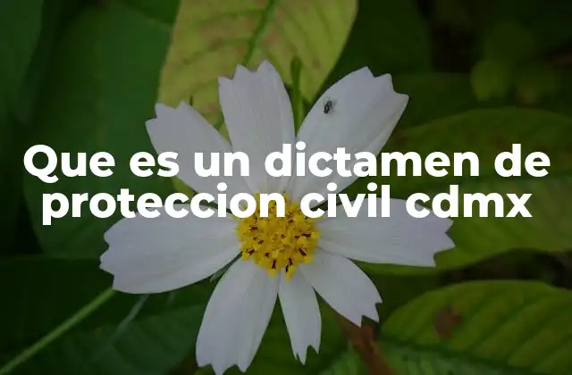 Que es un Dictamen de Proteccion Civil Cdmx