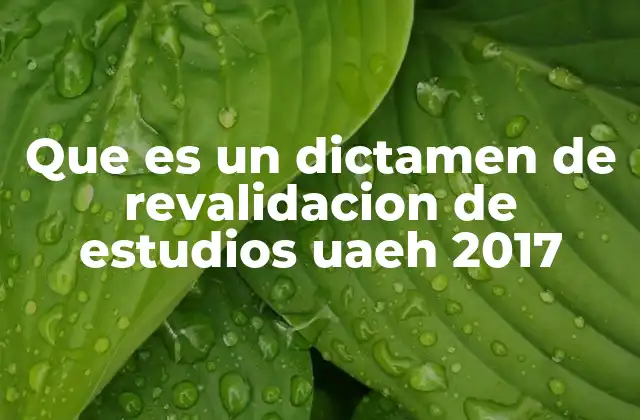 Que es un Dictamen de Revalidacion de Estudios Uaeh 2017