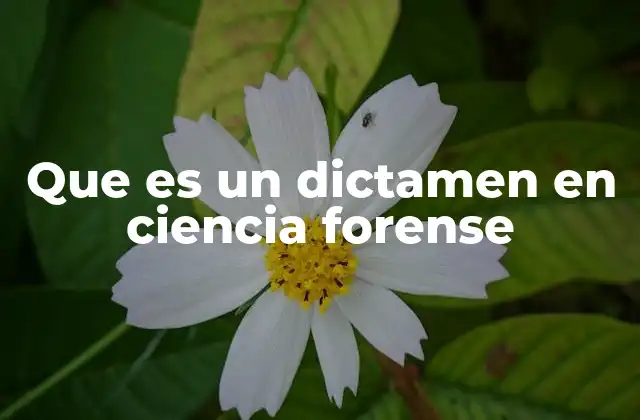 Que es un Dictamen en Ciencia Forense