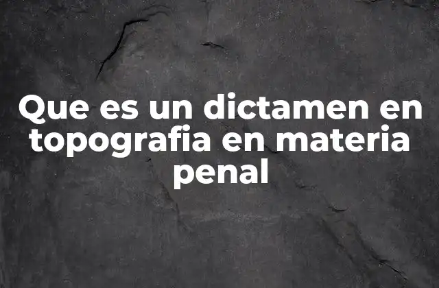 Que es un Dictamen en Topografia en Materia Penal