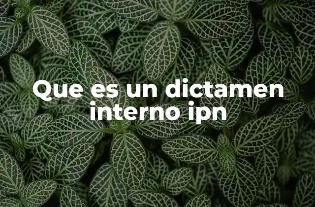 Que es un Dictamen Interno Ipn