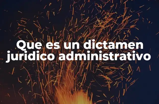 La importancia del dictamen en el derecho público