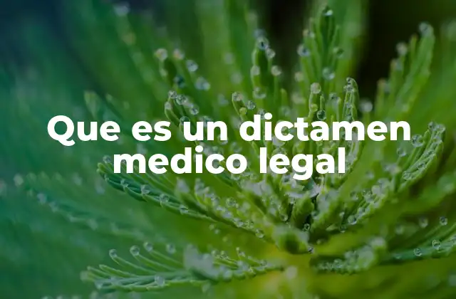 Que es un Dictamen Medico Legal