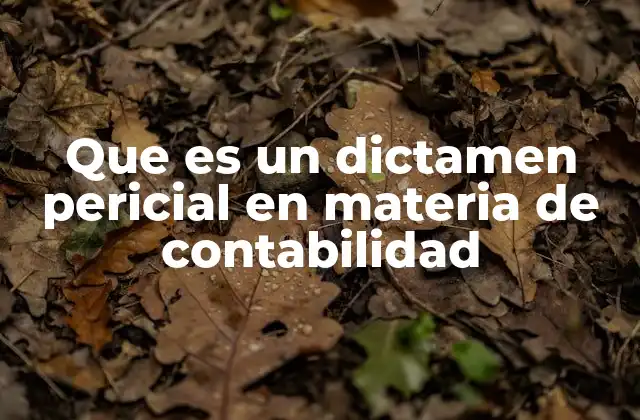 Que es un Dictamen Pericial en Materia de Contabilidad